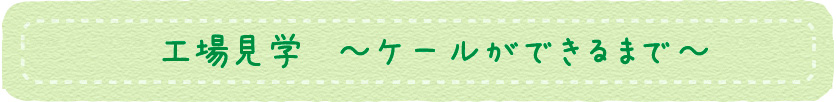 工場見学 ケールができるまで