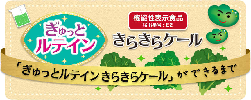 「ぎゅっとルテイン　きらきらケール」ができるまで