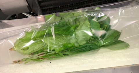 植物工場野菜のみで作られた、全く新しいサラダキット「おいしさまるごと　いろいろサラダ」発売しました！